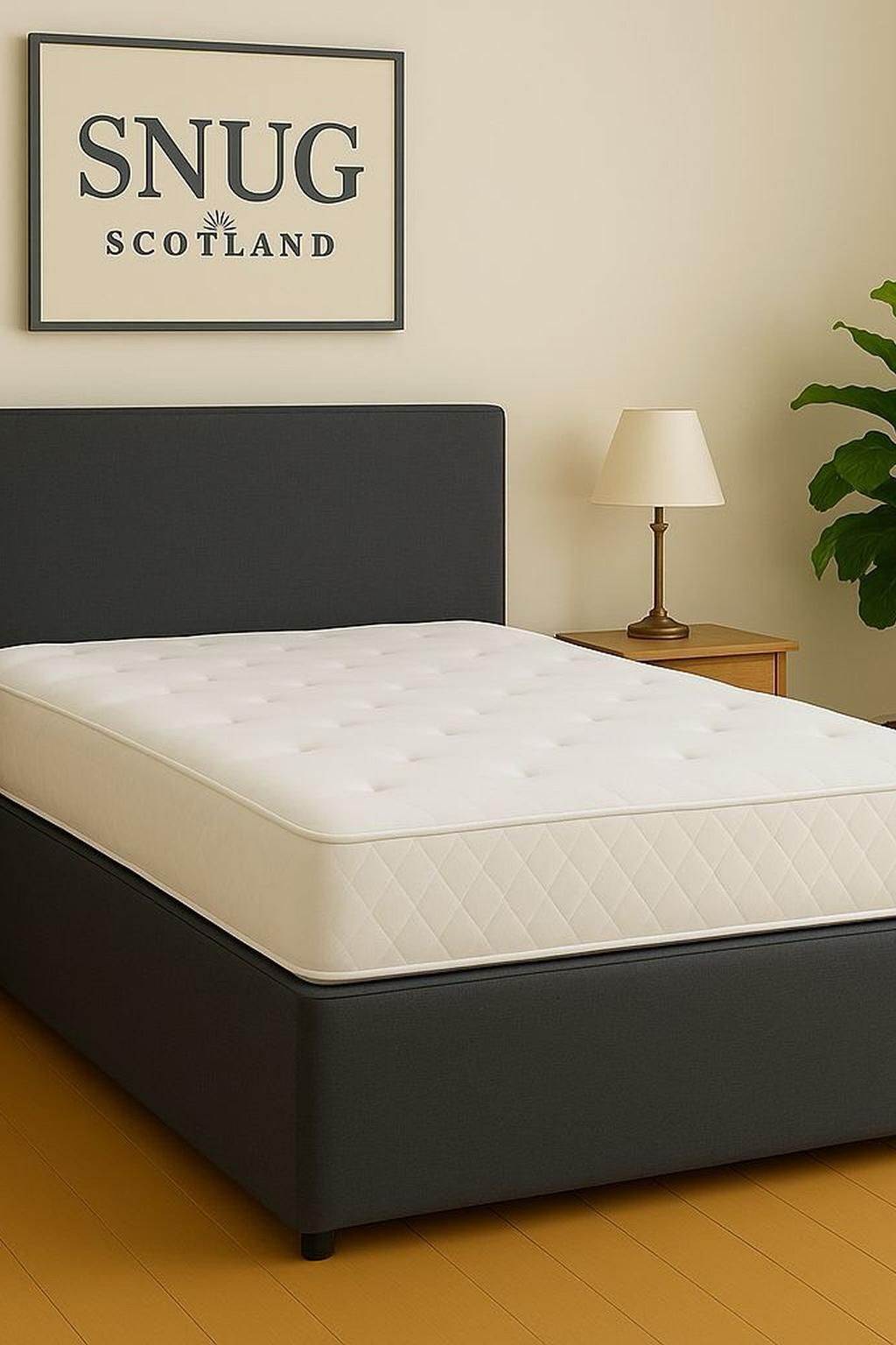 Snug Offers