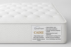 Cadiz